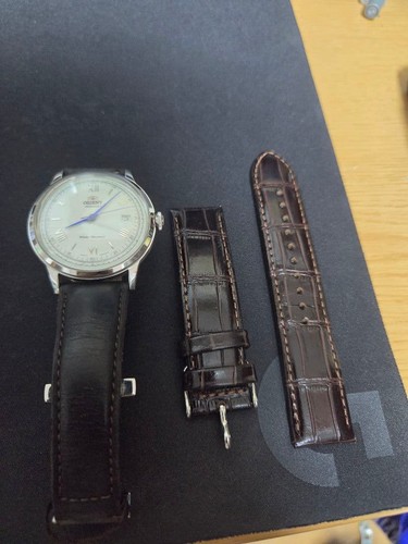 Orient bambino automatic men - orient,